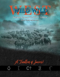 Cover300