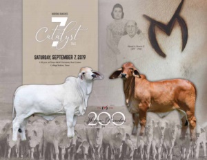 Cover300